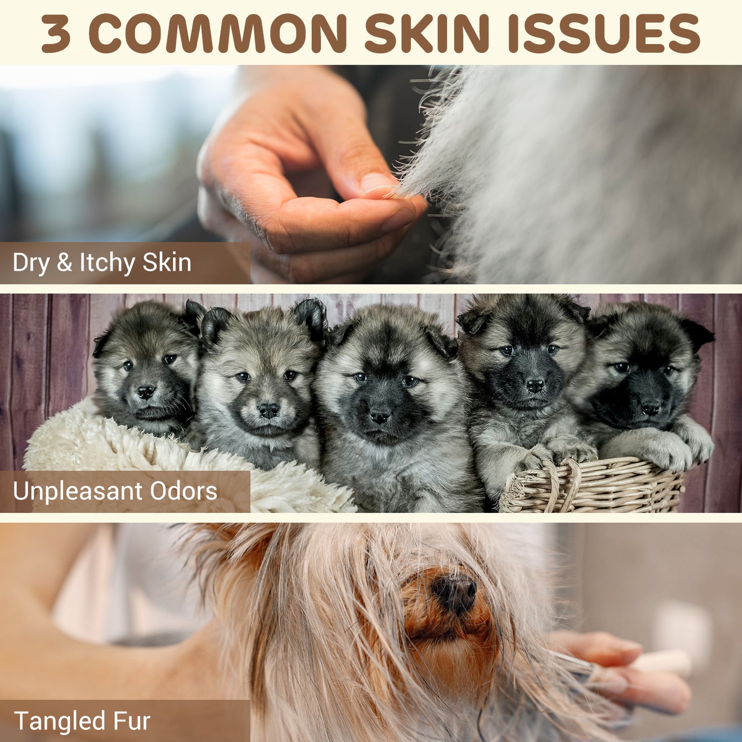 Pet Shampoo