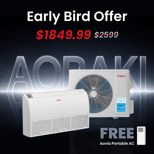 Aoraki 24,000 BTU Floor/Ceiling Mount Mini Split Air Conditioner, 22.5 SEER2 - 230V